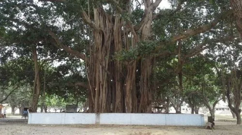Vrat Savitri Katha
